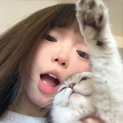华丽的假期